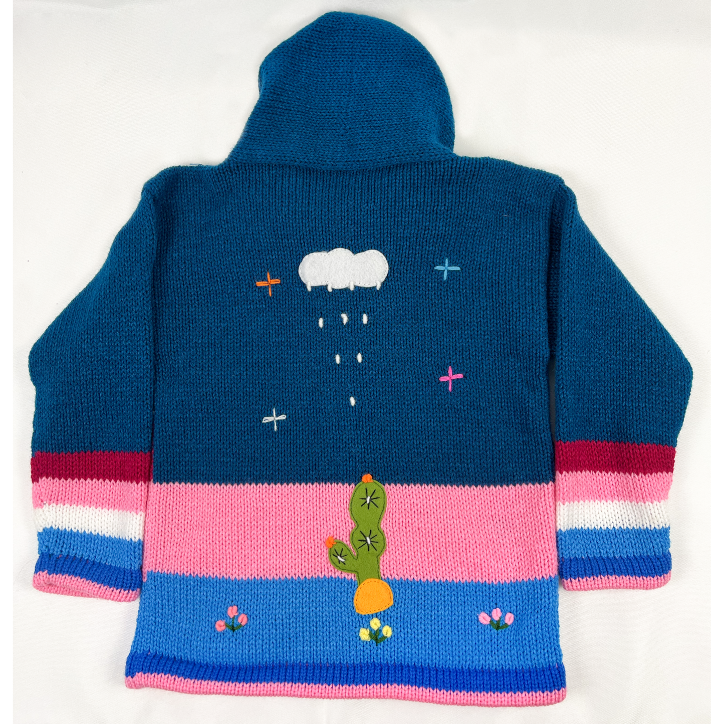 Blue and Pink Hand Knit Children's Sweater with Cactus - hoodie