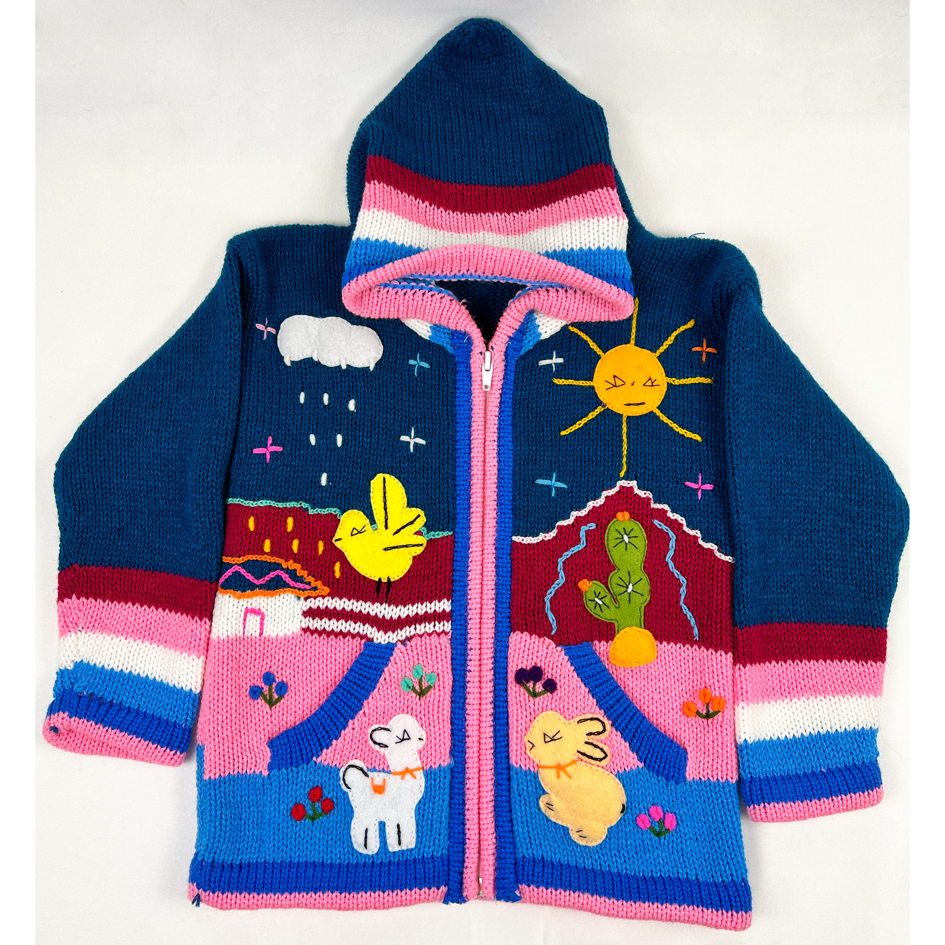 Blue and Pink Hand Knit Children's Sweater with Cactus - front